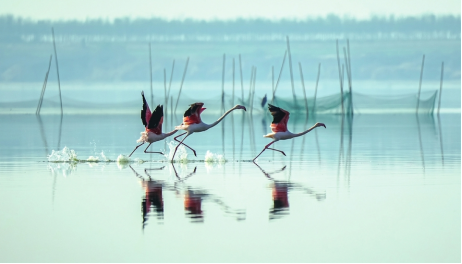 1736303707612584.png image.png